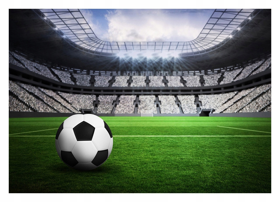 

Fototapeta 3D Piłka Nożna Stadion 312x219 F00277