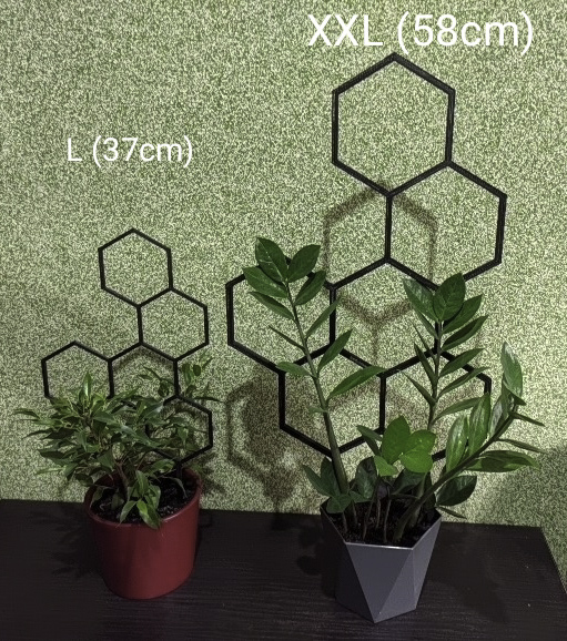 PODPÓRKA KWIATÓW ROŚLIN DRABINKA PERGOLA XXL 58 CM Kod producenta hex58b