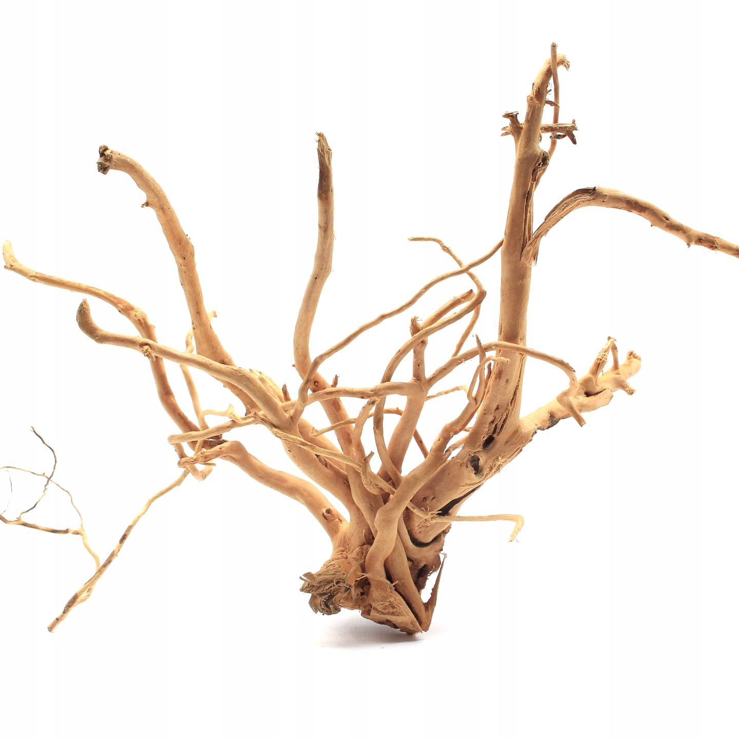 Levně Japonský kořen Red Moor pro akvária a terária Přírodní dekorace 40-50 cm