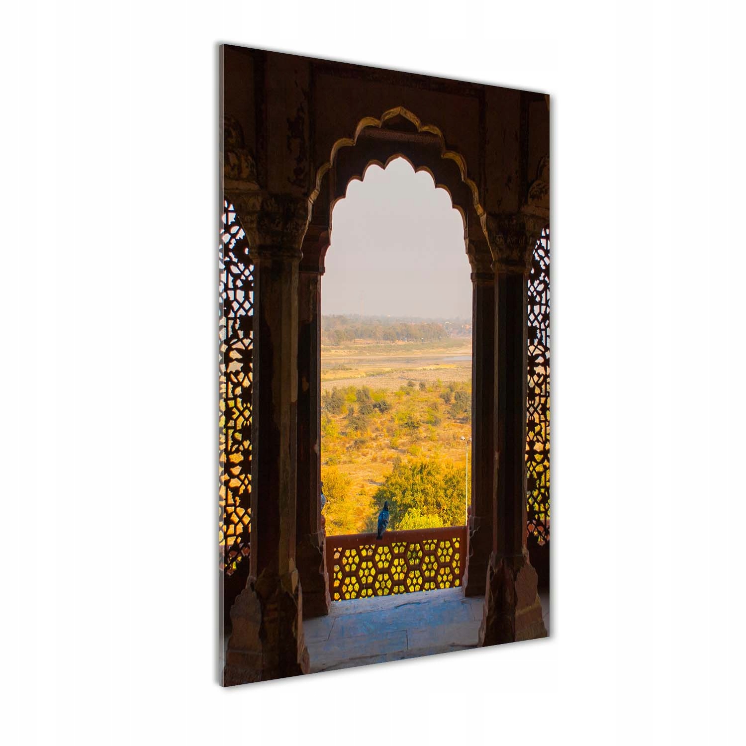 

Foto obraz szkło akrylowe Fort Agra Indie 60x120cm