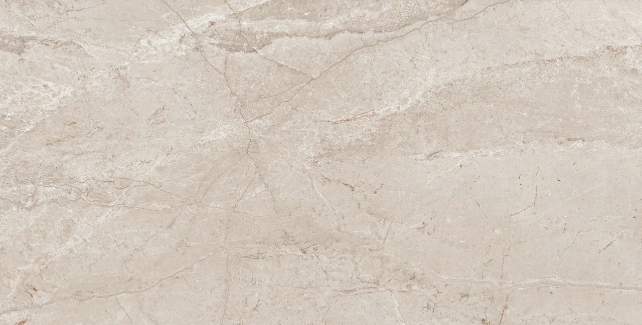 PŁYTKI PODŁOGOWE HOMES BROWN 60X120 POŁYSK KAMIEŃ Długość 120 cm