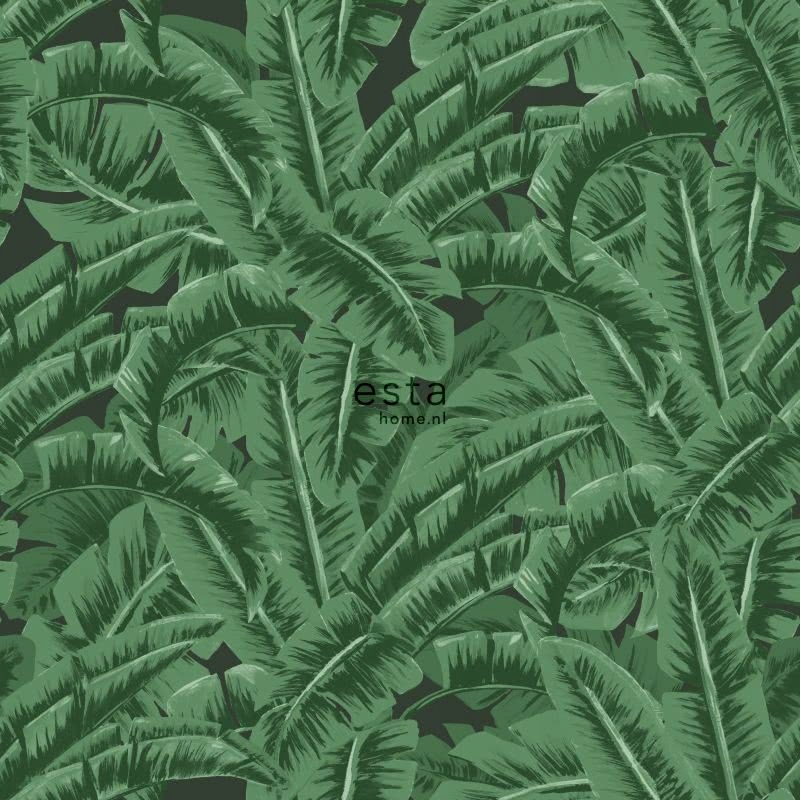 TAPETA LIŚCIE BANANOWCA ESTA HOME JUNGLE FEVER
