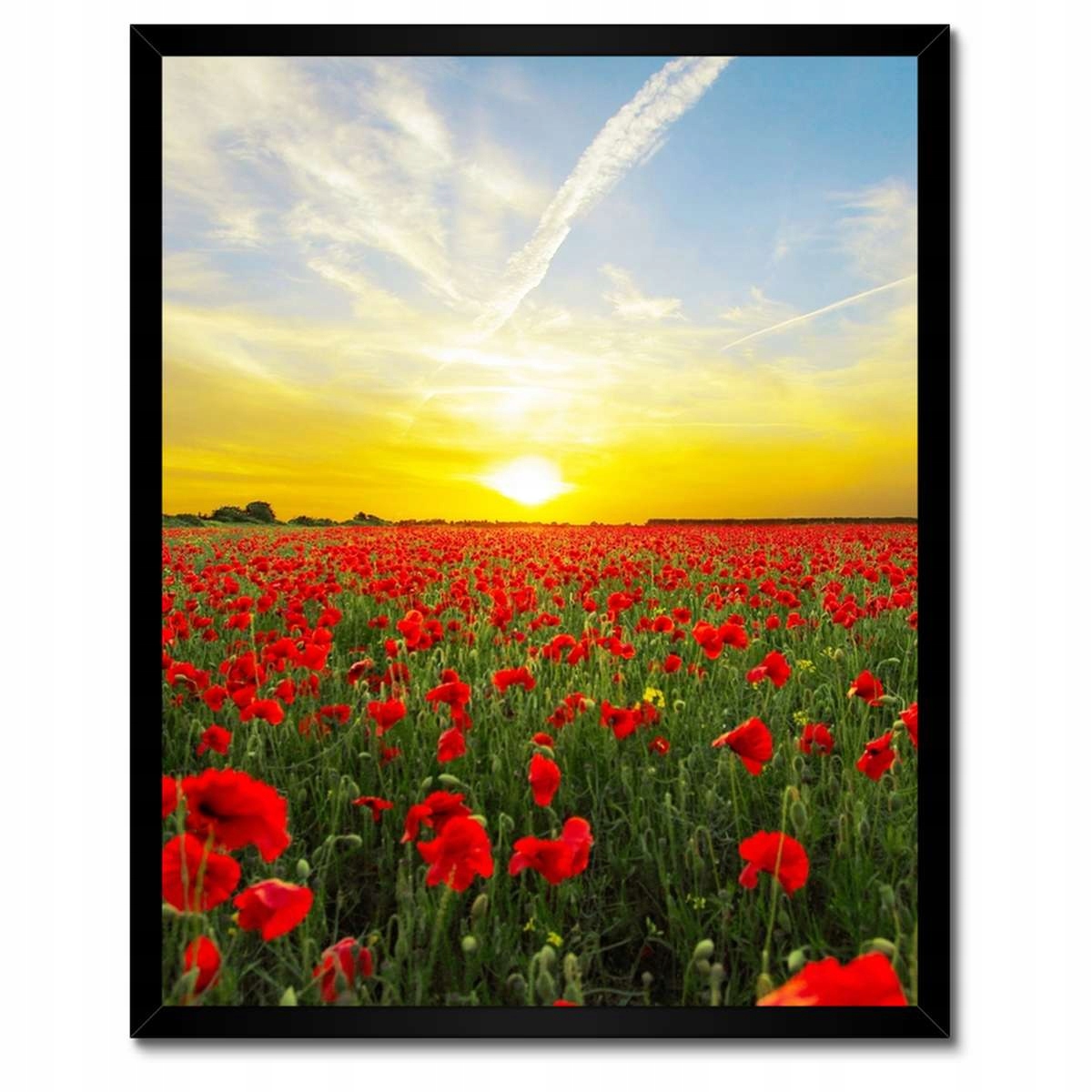 Plakáty v rámu 40x50 Pole máků se západem