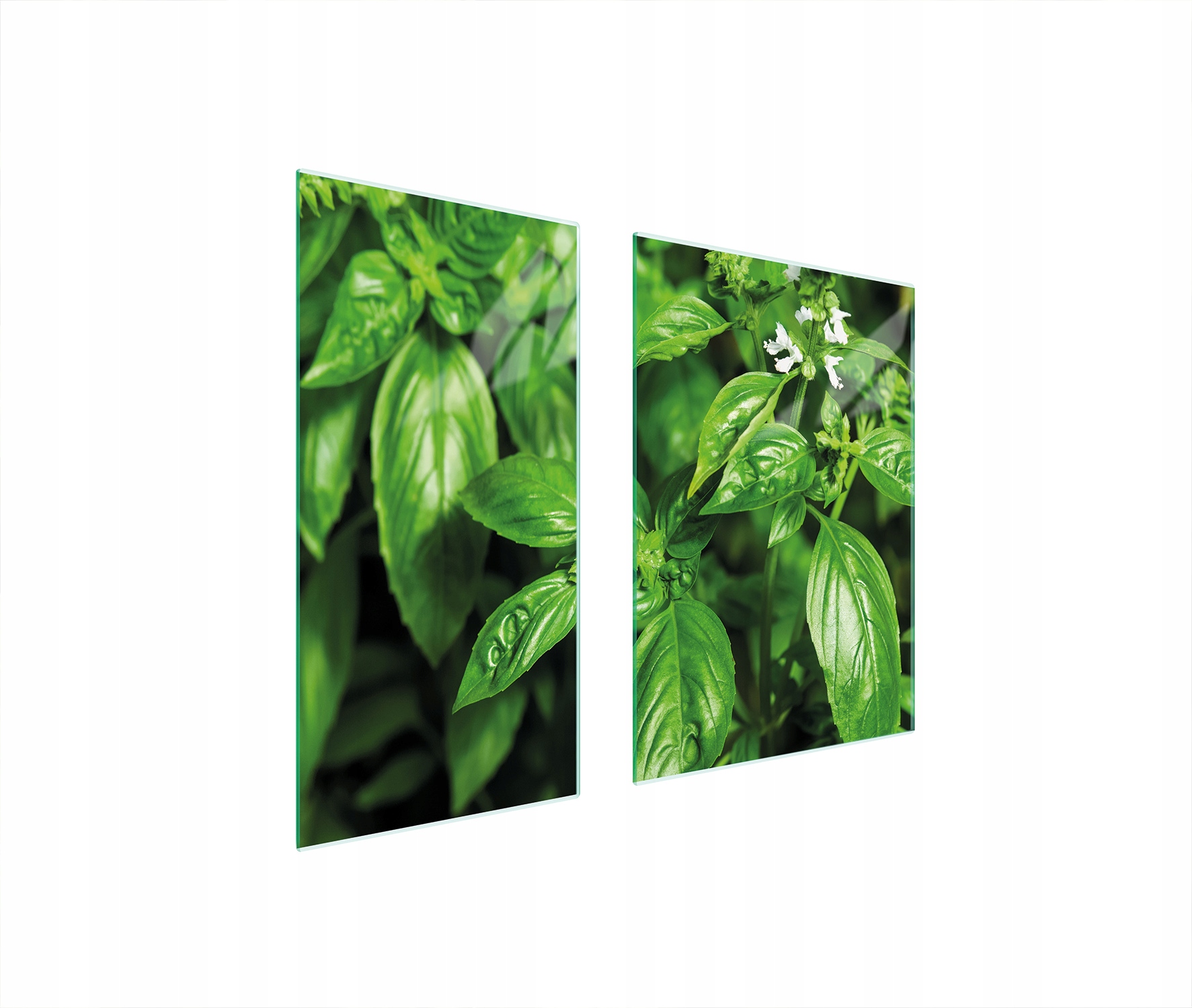 Skleněná Ochranná Deska 75x52 Bazalka Tvrzené Sklo