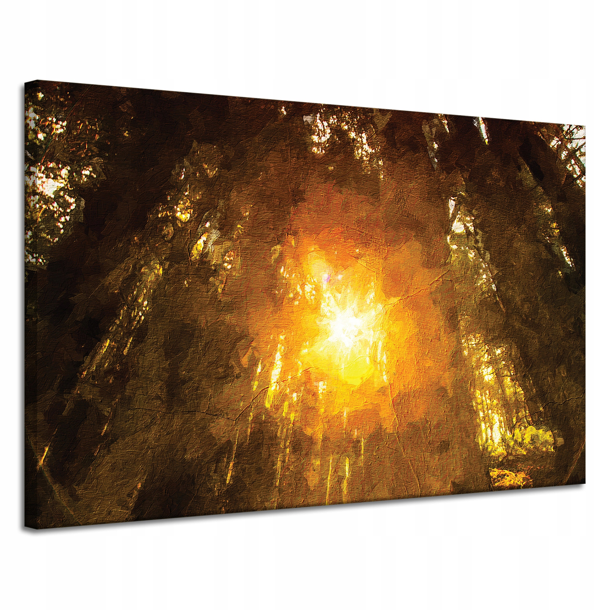 Obraz na plátně Les v záři Slunce Pastely 120x80 cm