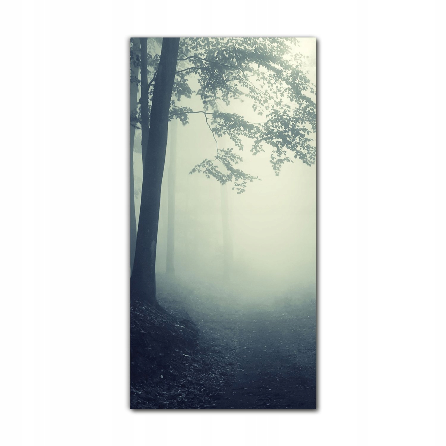 

Obraz na szkle grafika do salonu 70x140 Mgła las