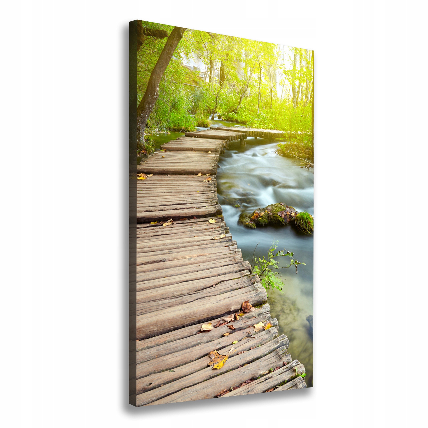 

Foto obraz na płótnie Ścieżka w lesie 60x120 cm