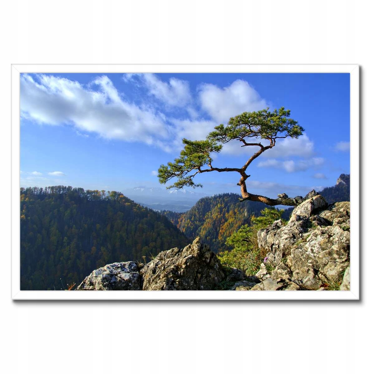 Plakáty v rámu 60x40 Krajina Pohledy Krajina