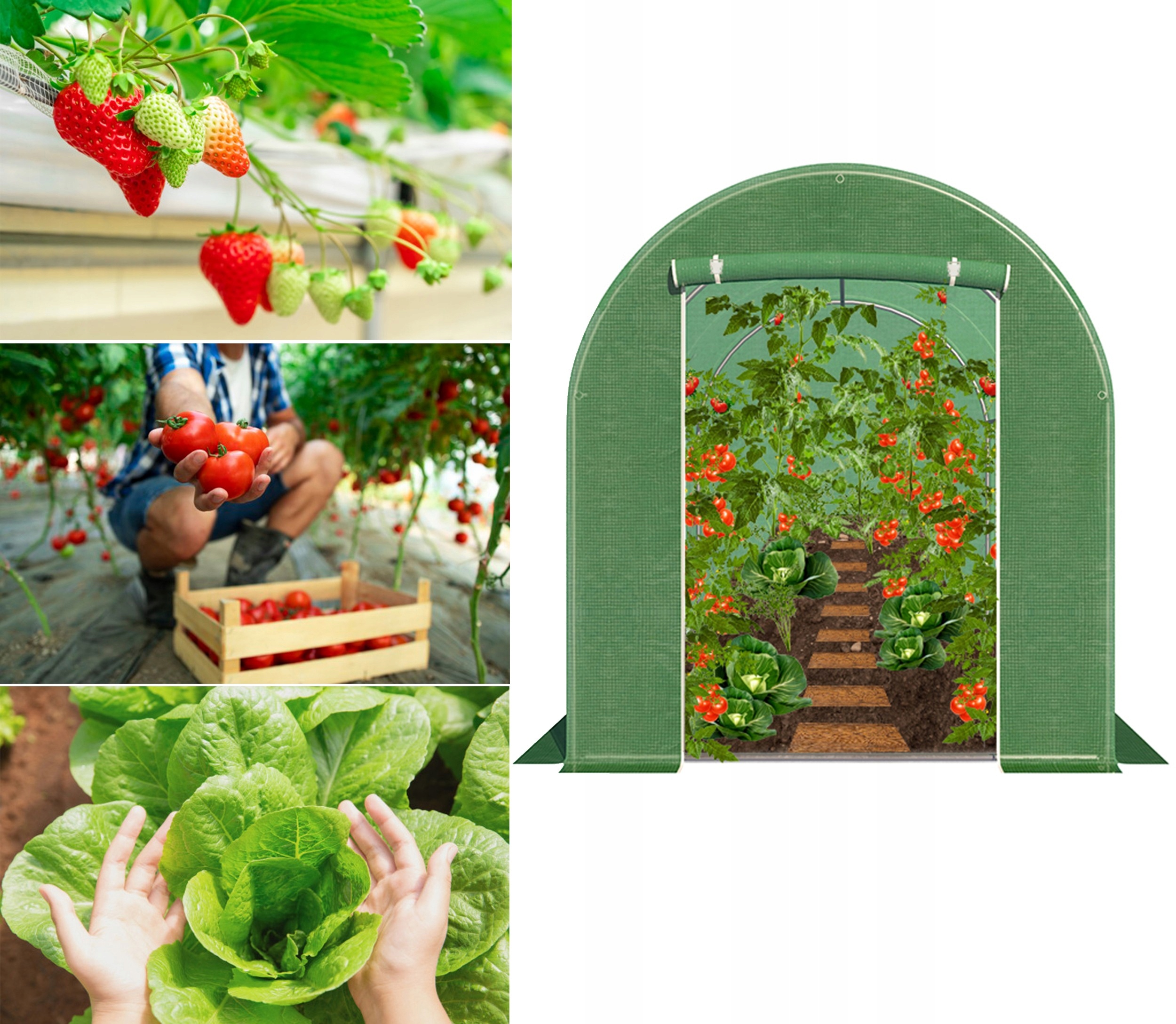 FOLIA NA TUNEL OGRODOWY FOLIOWY POSZYCIE SZKLARNIA FOLIAK 6 x 2,5m Zielona Powierzchnia 15 m²