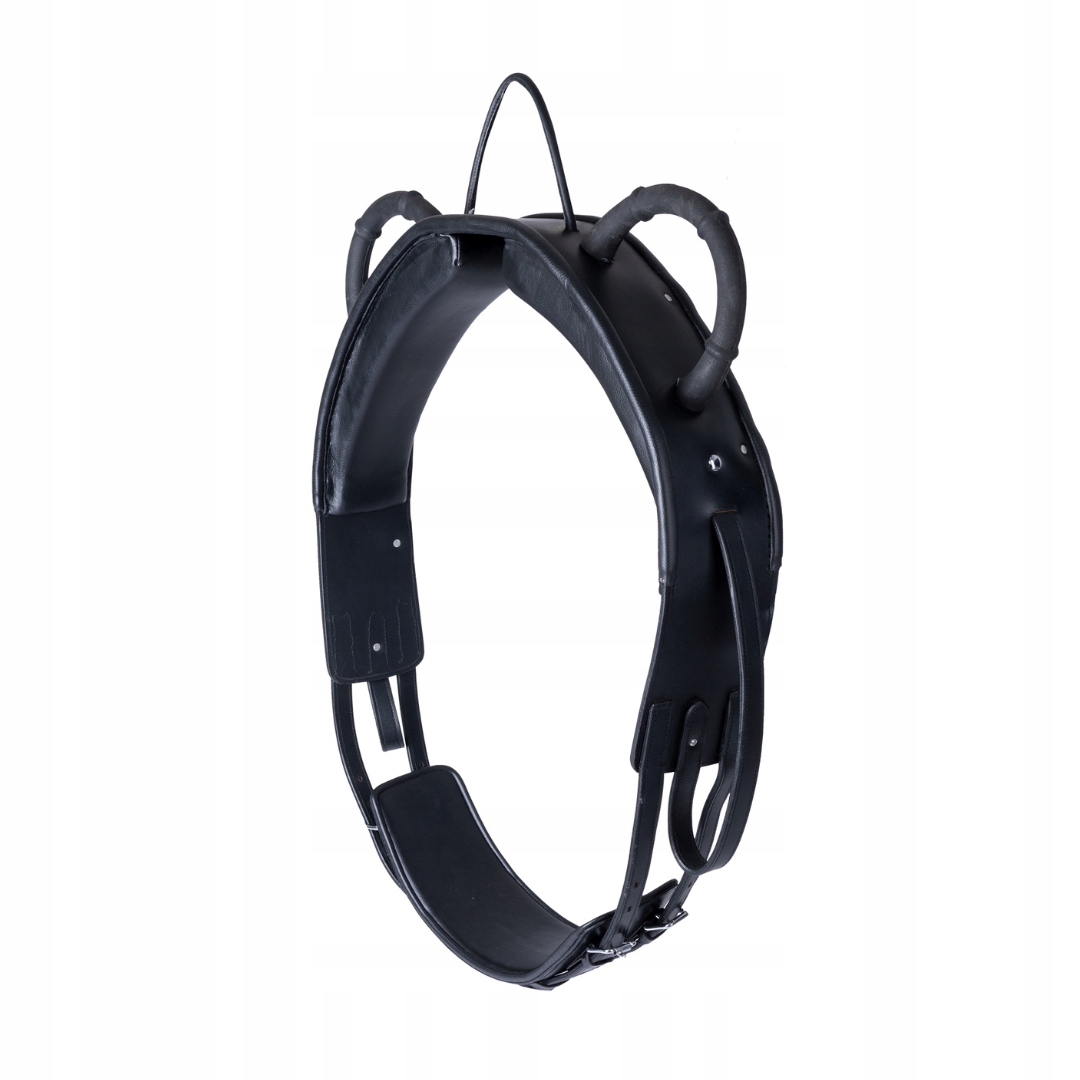 Kožený lonžovací pás Full Waldhausen