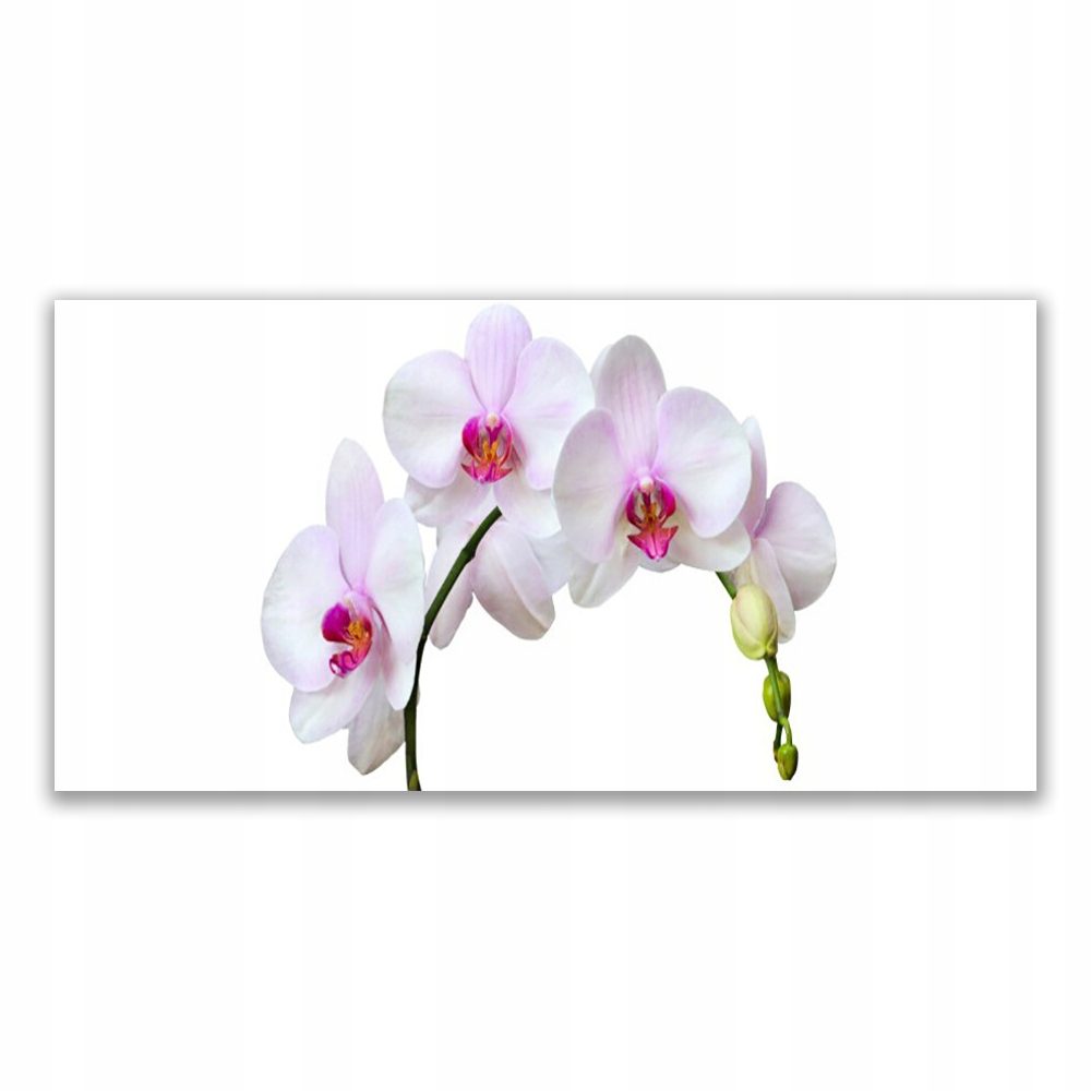 

Obraz na prezent 120x60 Storczyk Orchidea Kwiaty