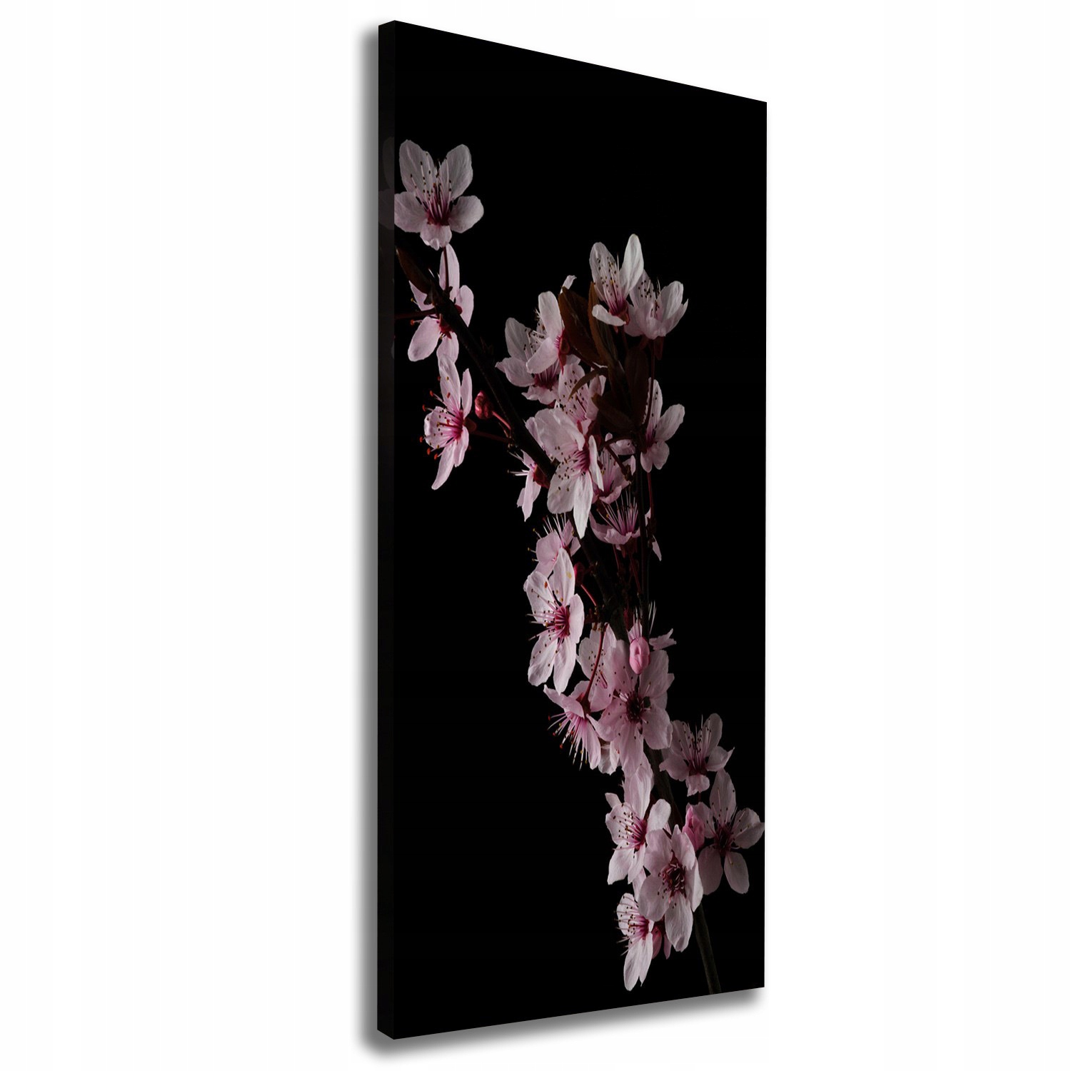 

Foto obraz canvas do salonu Kwiaty wiśni 50x125