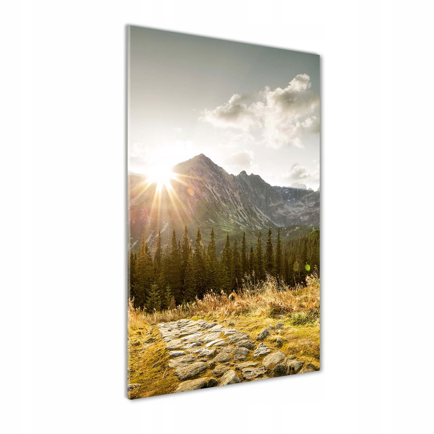 

Foto obraz akrylowy Zachód słońca Tatry 50x100cm