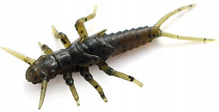 

Fishup Stonefly 0.75” 043 Watermelon Brown/Black