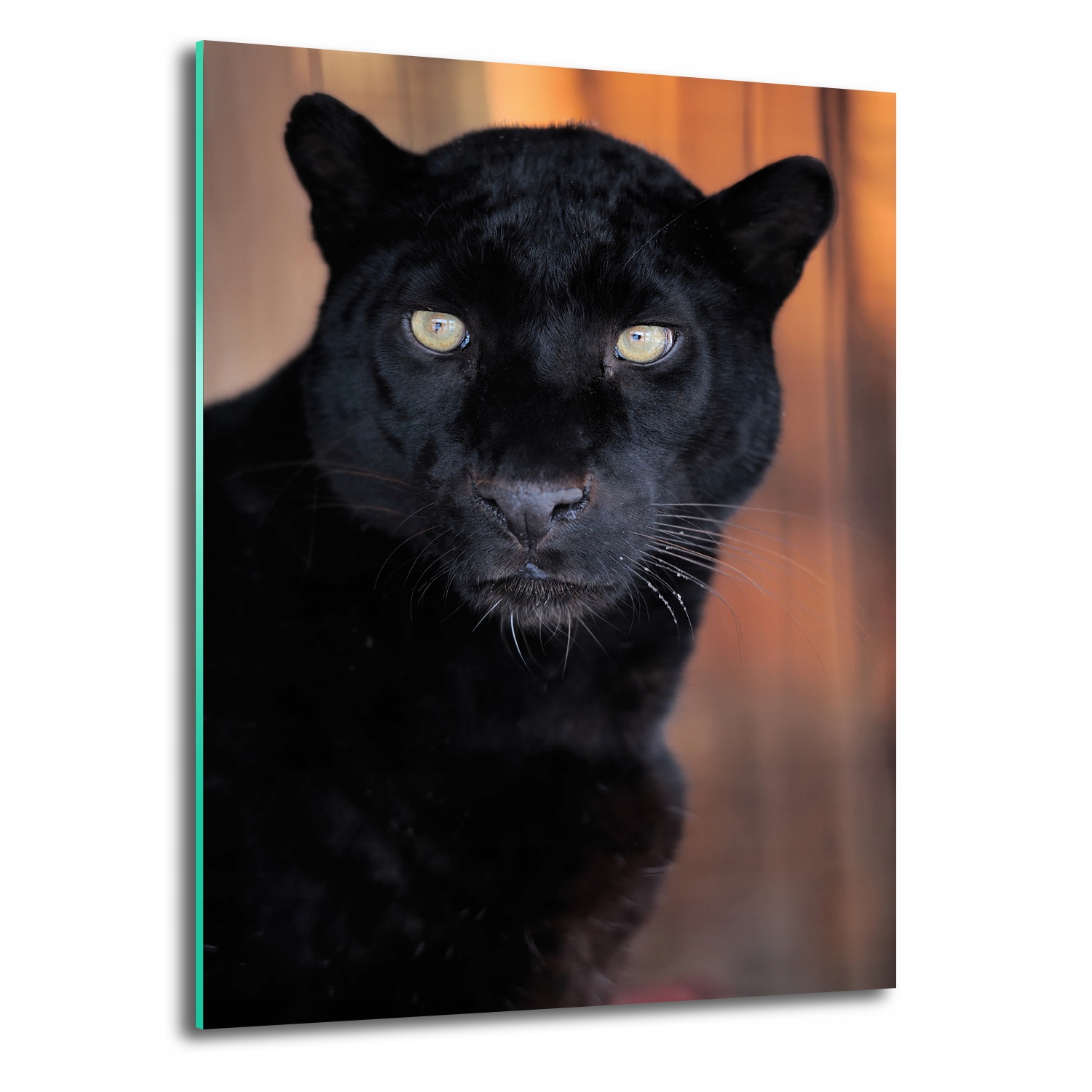 Fotoobraz na skle Leopard portrét 70x100