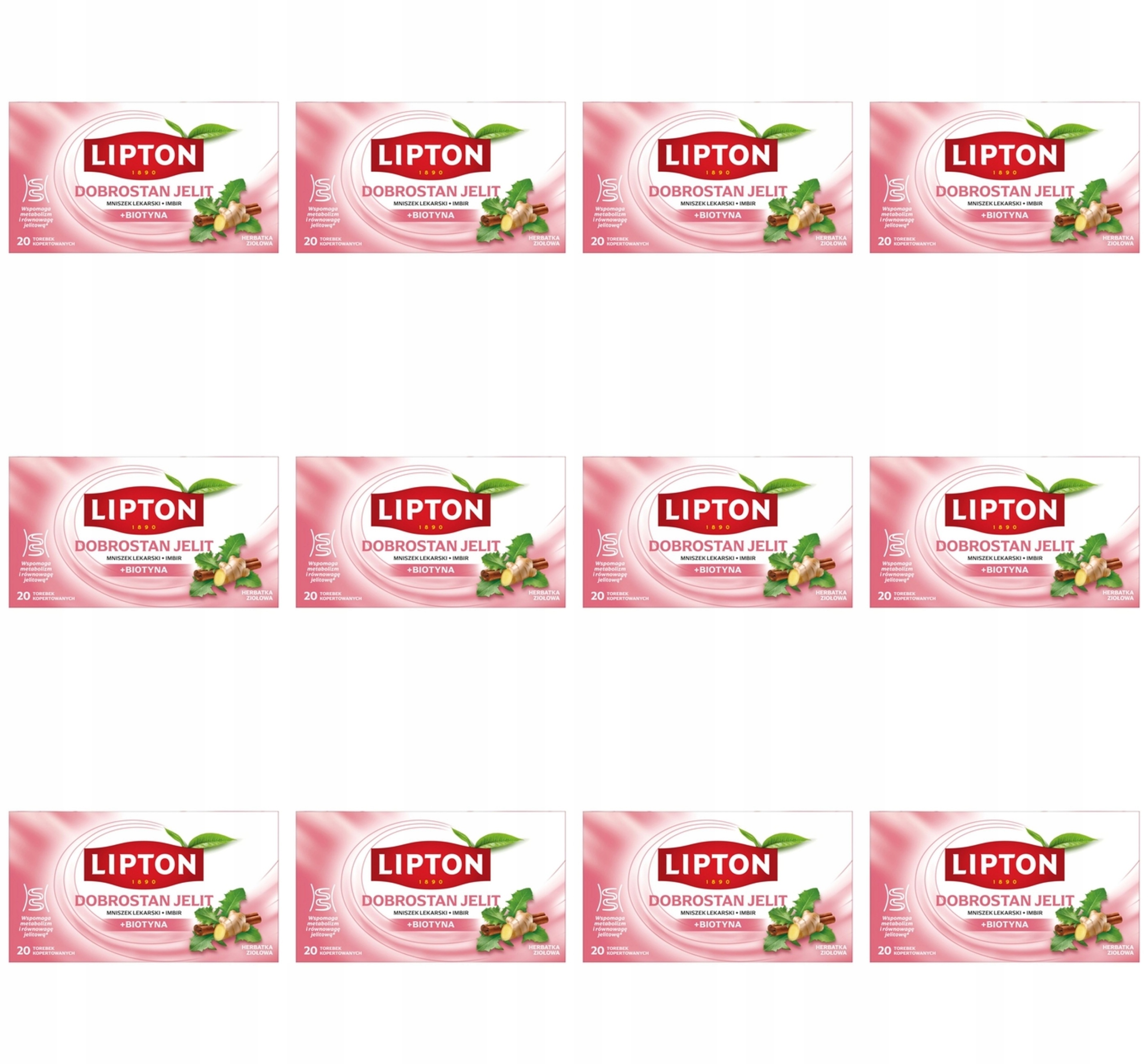 Lipton Čaj pro pohodu střev 20 Tb X12