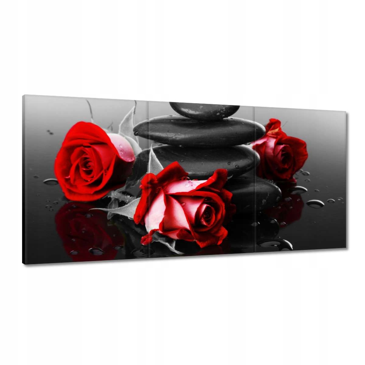 Obrazy 180x90 Červené ruže Kamene