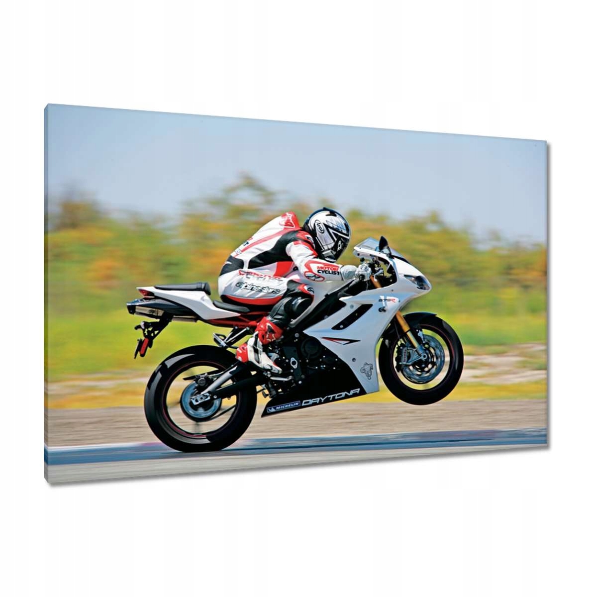 Obrazy 120x80 Závodní motocykl Motor