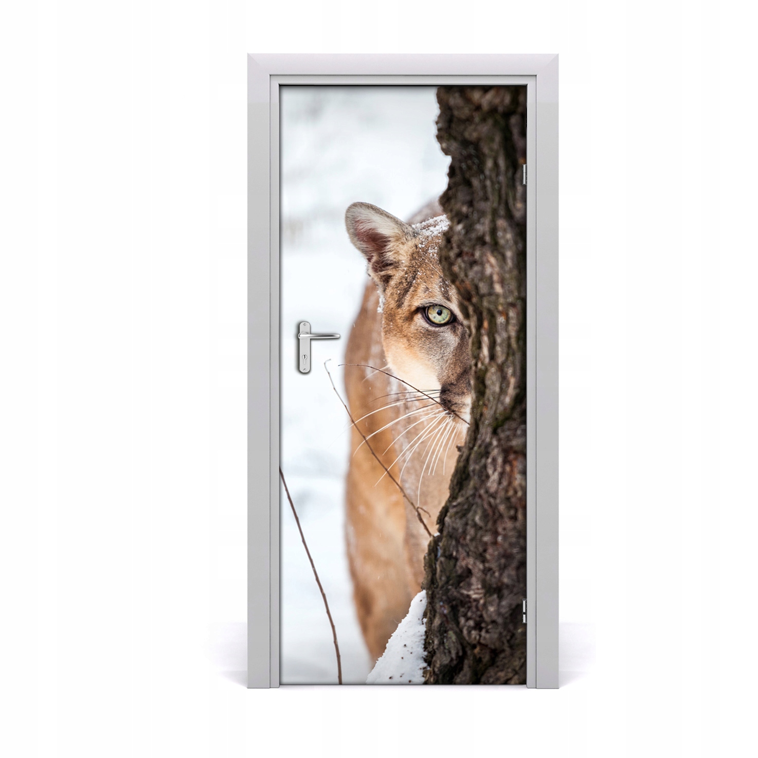 

Fototapeta samoprzylepna na drzwi Puma Górska