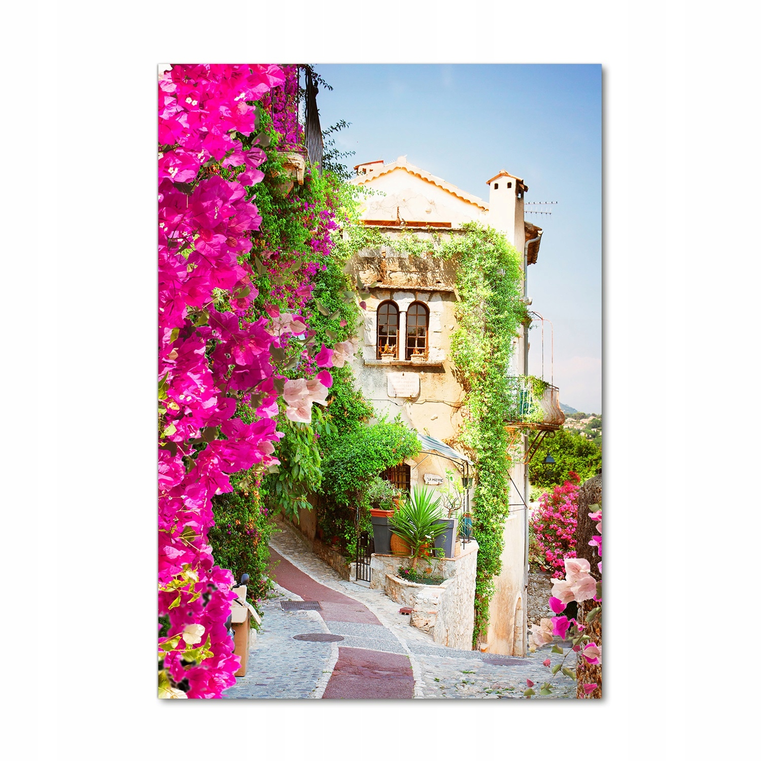

Foto obraz akrylowy Prowansja Francja 70x100 cm