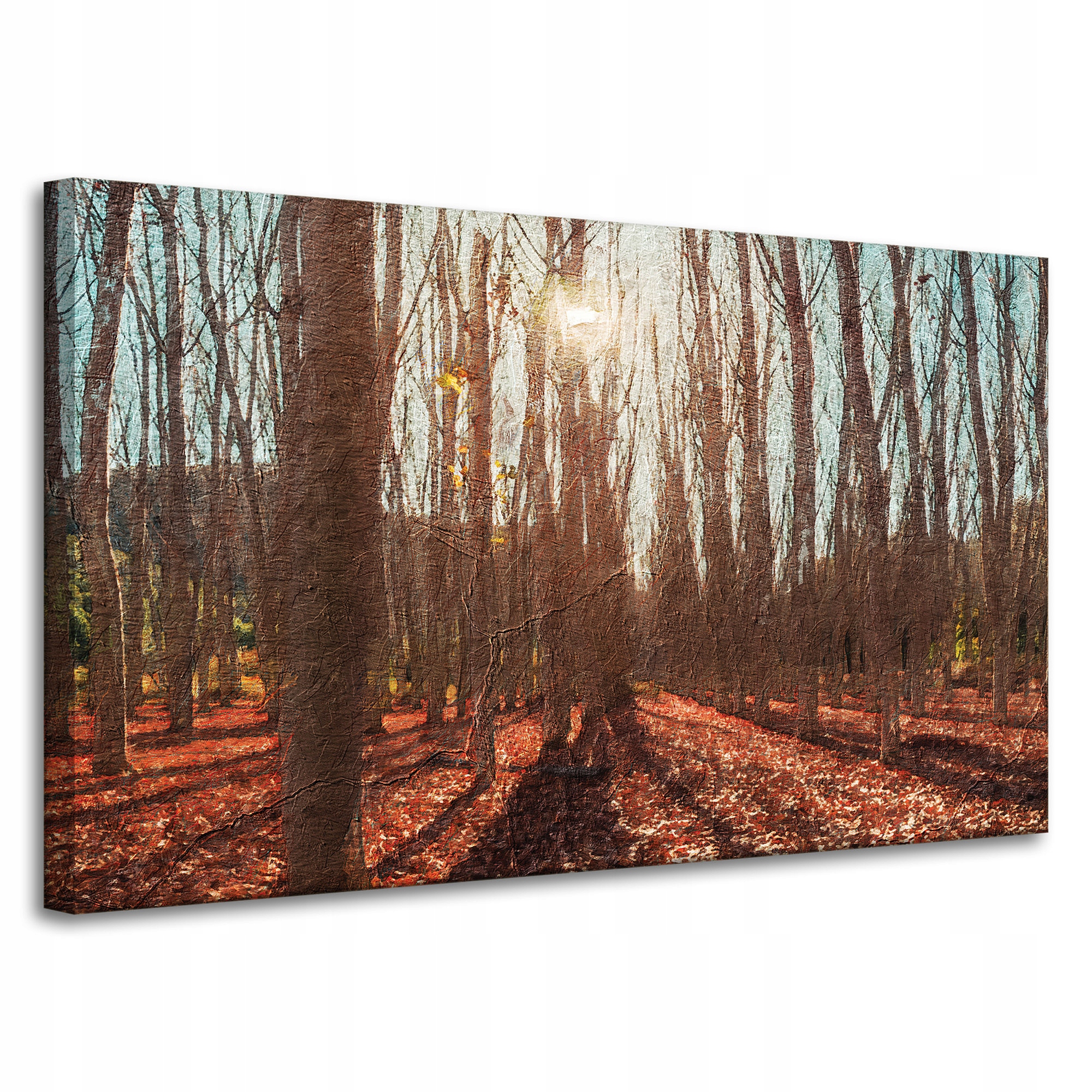 Obraz na plátně Les Na podzim Listy Barevné Příroda 100x60 cm