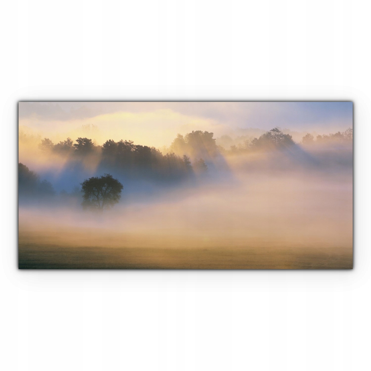 

Canvas płótno do sypialni 100x50 Jesień Mgła Las