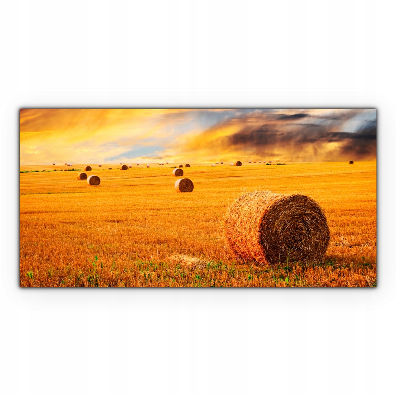 

Obraz Canvas dekoracja 120x60 Farma Zachód Słońca