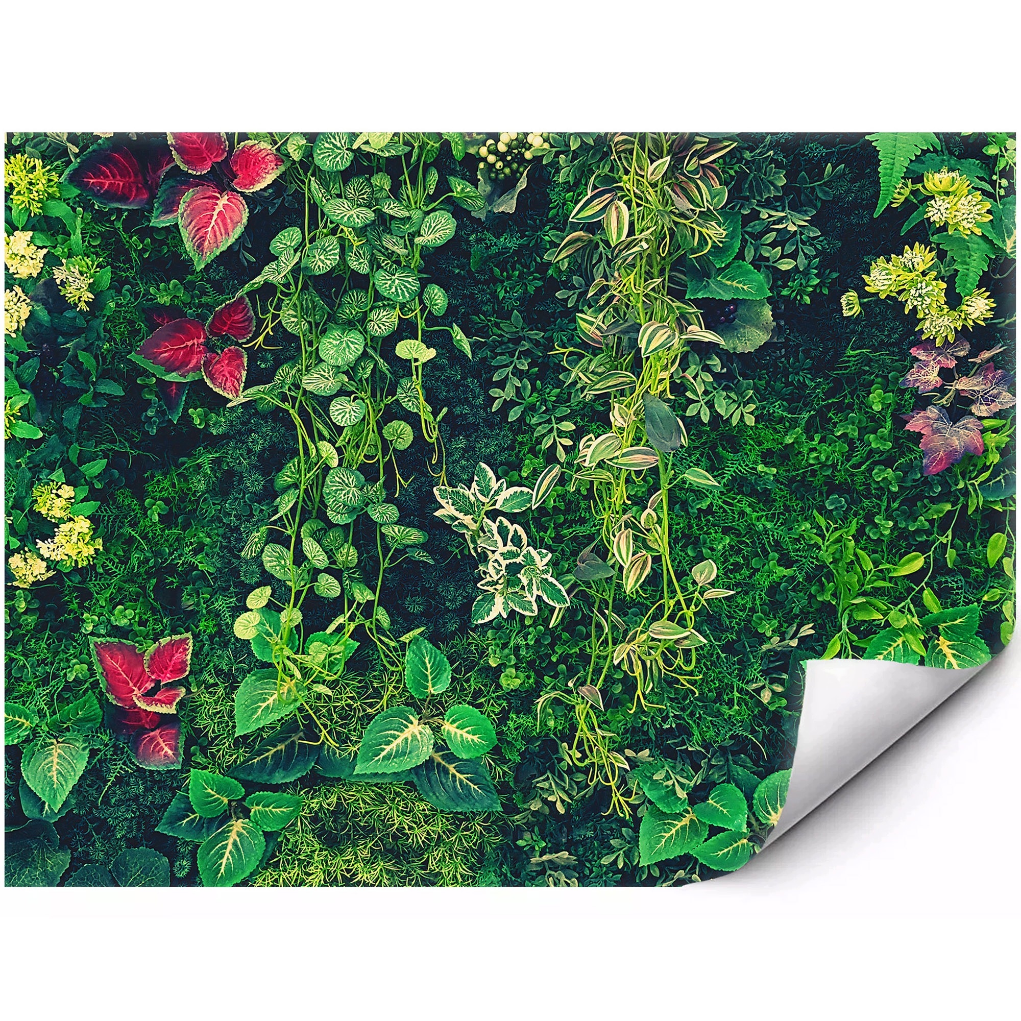 Samoprzylepna Fototapeta Kolorowa zielona ściana roślin 400x280 cm