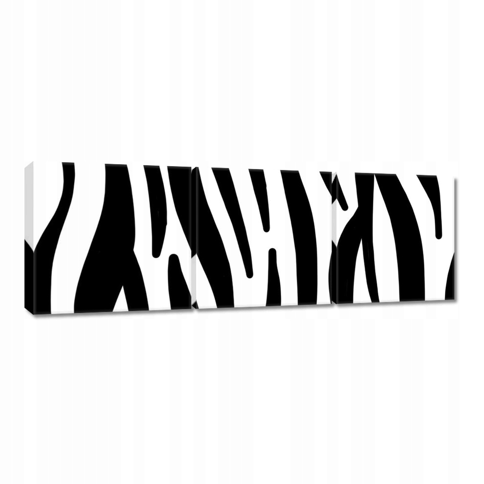 

Obraz 60x20 Zebra Paski