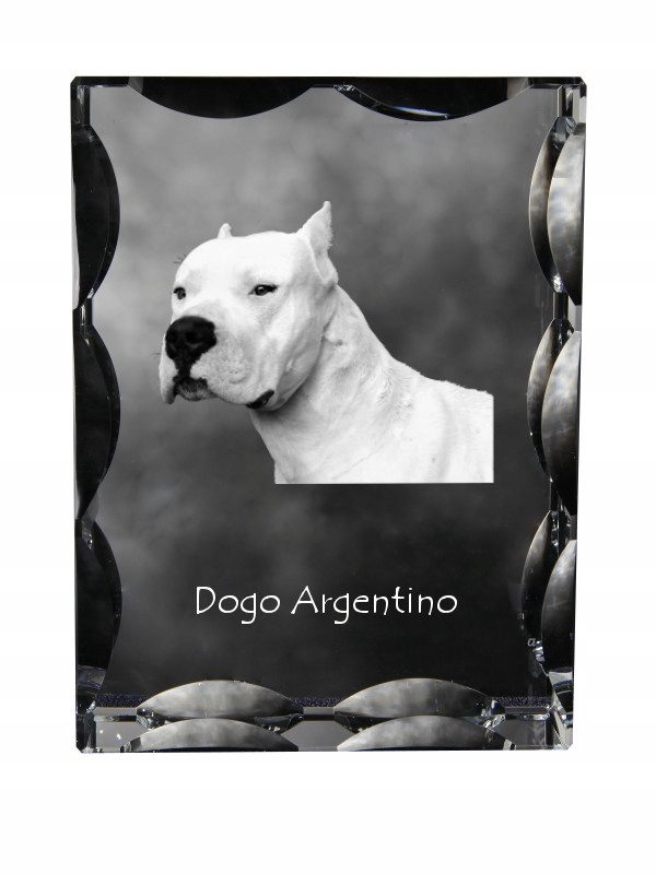 Argentínsky pes fotografia psa v ozdobnom kryštáli, suvenír, dekorácia domu