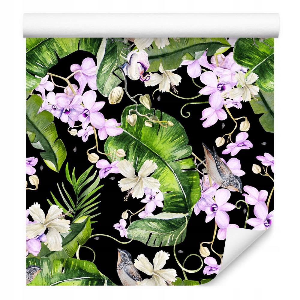 Tapeta do obývacího pokoje orchideje příroda květiny rostliny