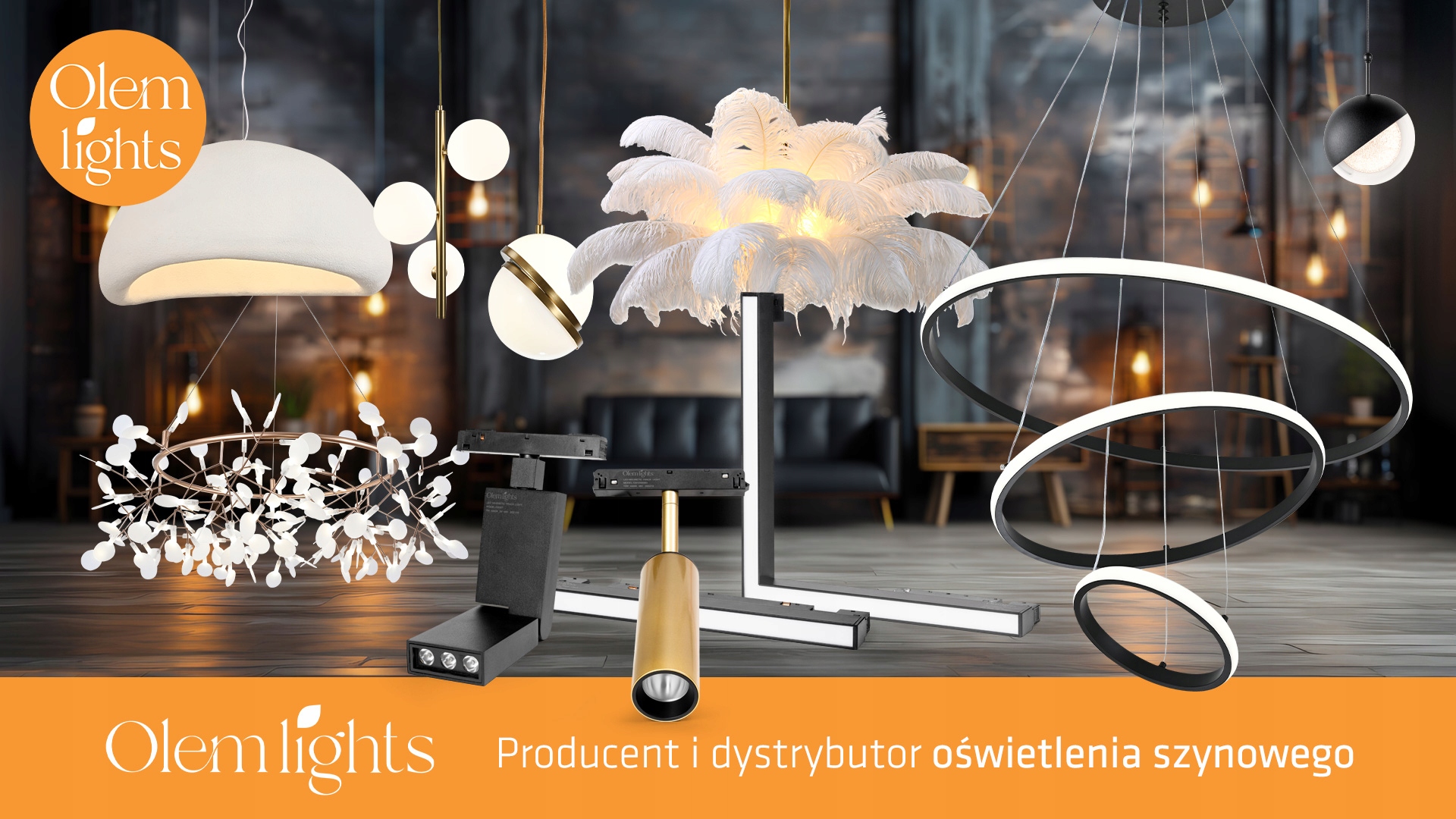 Zasilacz montowany wewnątrz szyny aluminiowej OLEM Simple Z001 - 100 W Stan opakowania oryginalne