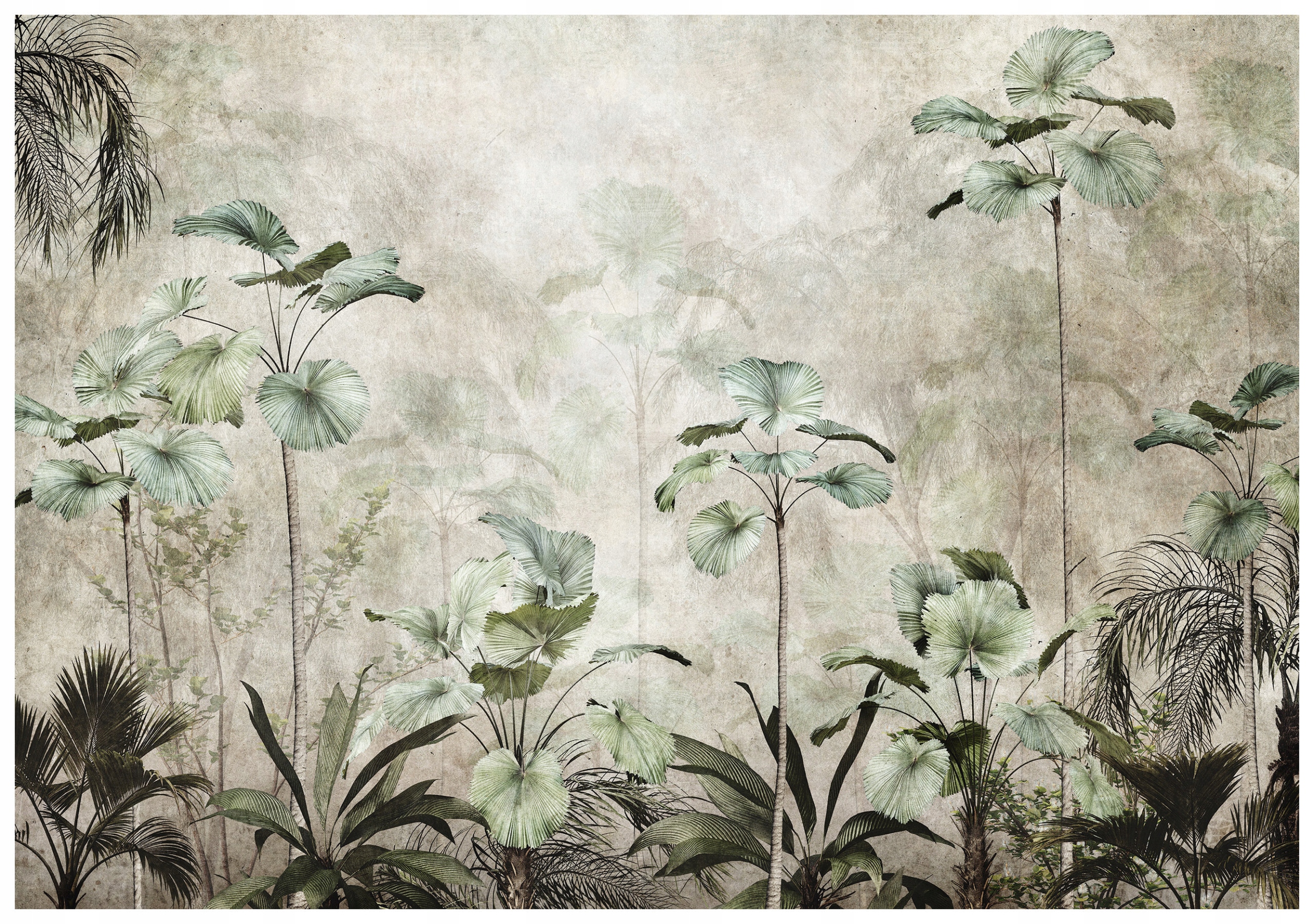 Fototapeta Palmy vejár tropický les Licuala 368x254 príležitosť lepidlo