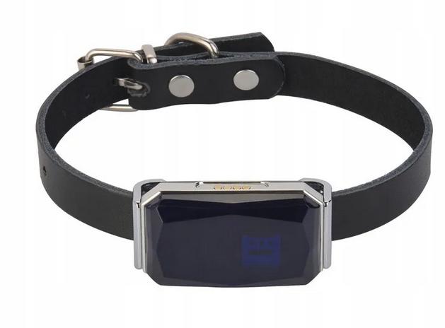 Levně Gps lokátor Mking MK12P Pro Psa Kočku