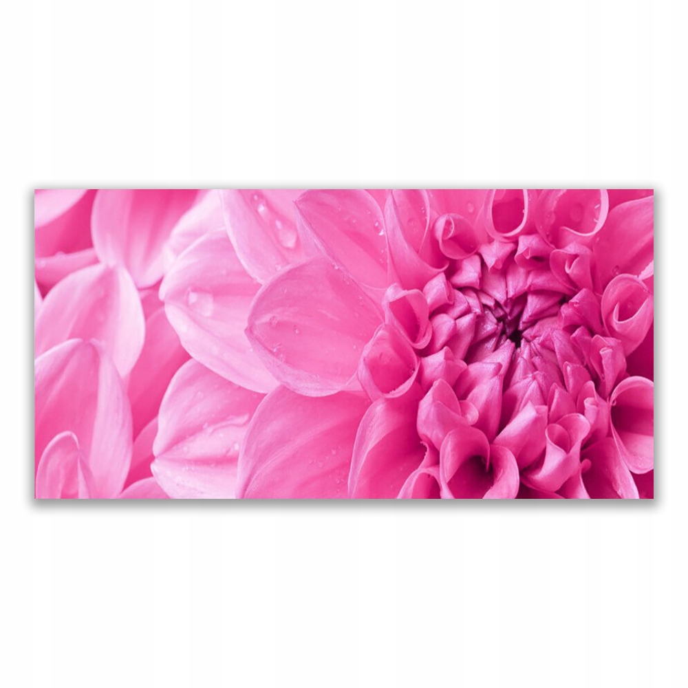 

Fotoobraz nowoczesny 120x60 Kwiaty Roślina Natura