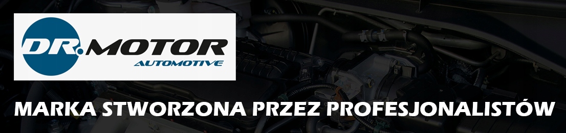 USZCZELKA POMPY PALIWA do BMW X5 X6 Numer katalogowy części DRM0286