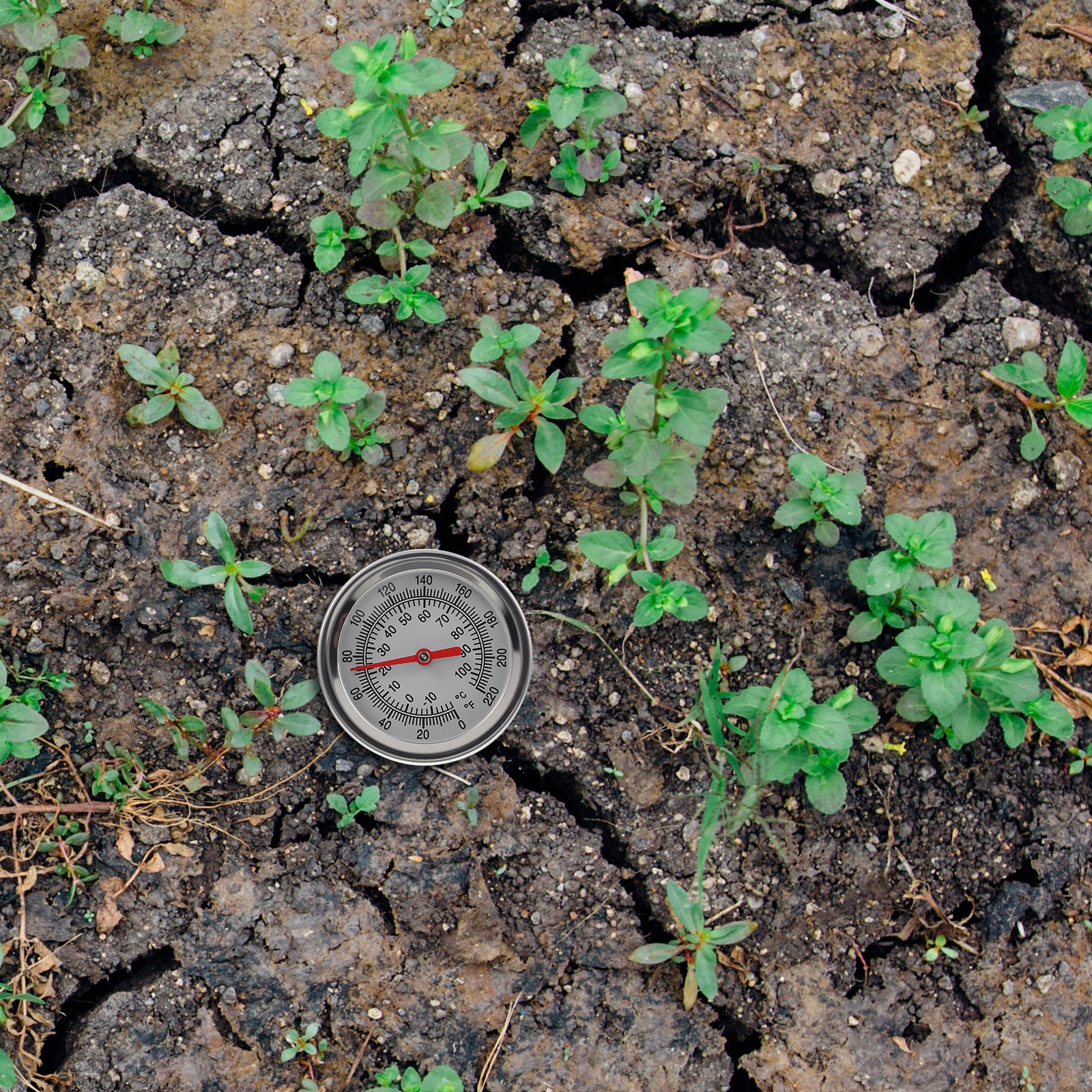 Termometr glebowy Kompost przydomowy Marka bez marki