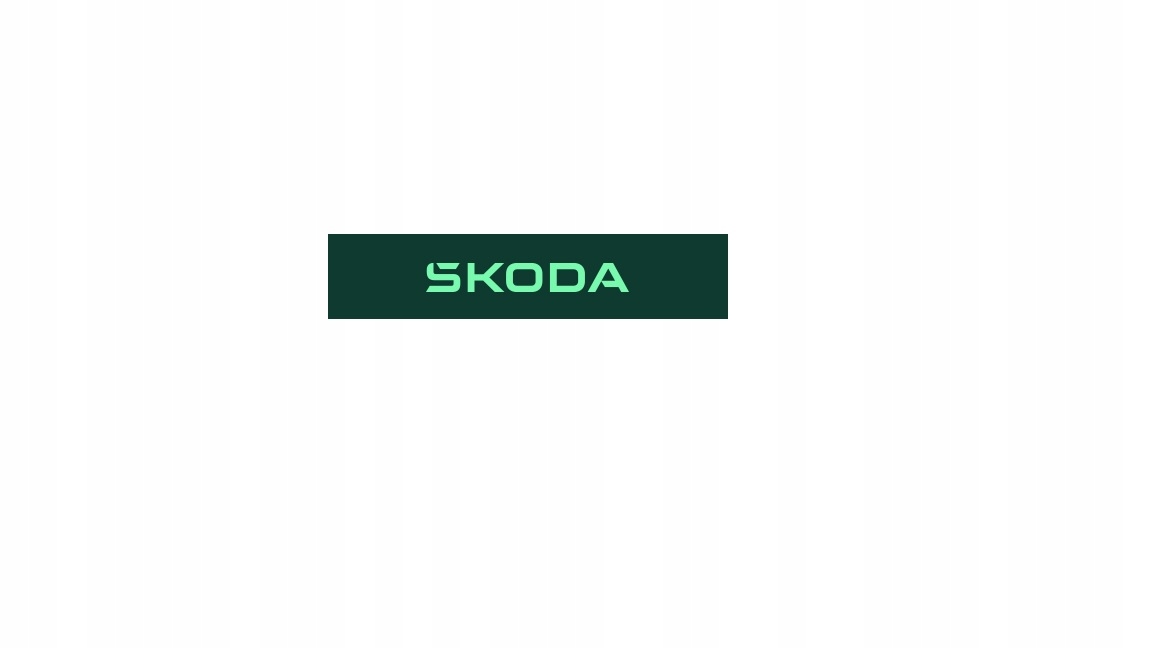 System siatek SKODA OCTAVIA IV 5E7065110A Rodzaj siatki