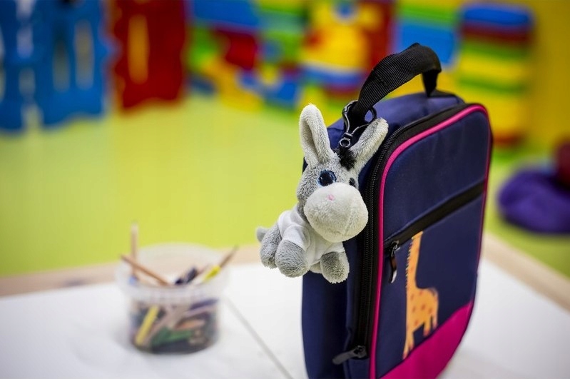 BRELOK PLUSZOWY zawieszka OSIOŁEK maskotka OSIOŁ Rodzaj osiołek