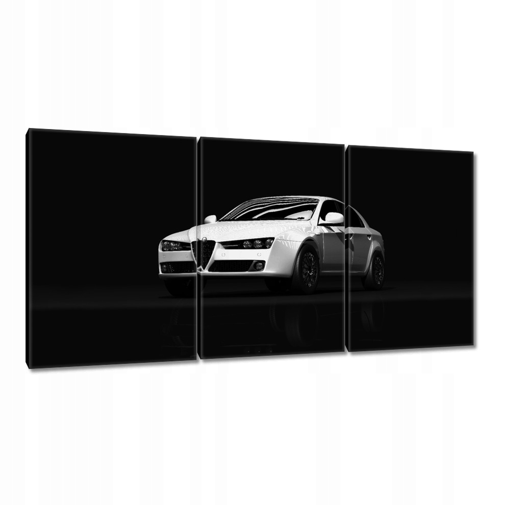 

Obrazy 120x60 Alfa Romeo