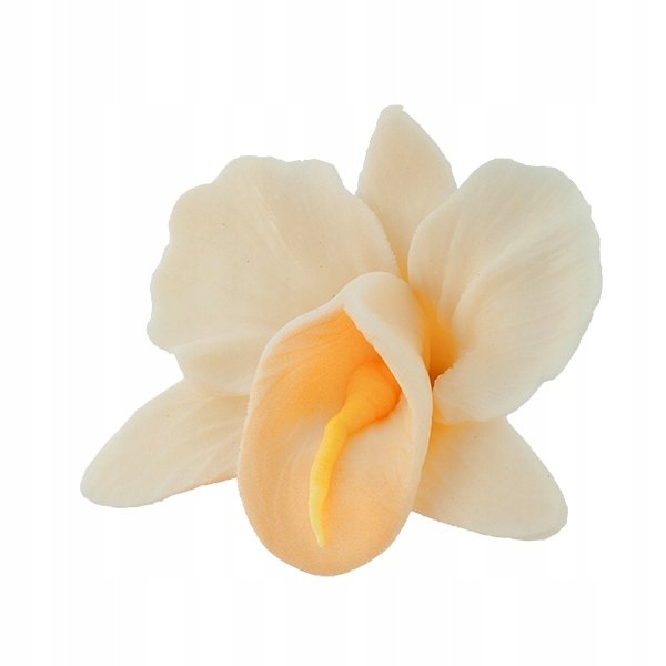 

Storczyk kwiat cukrowy na tort 6cm ecru 1szt