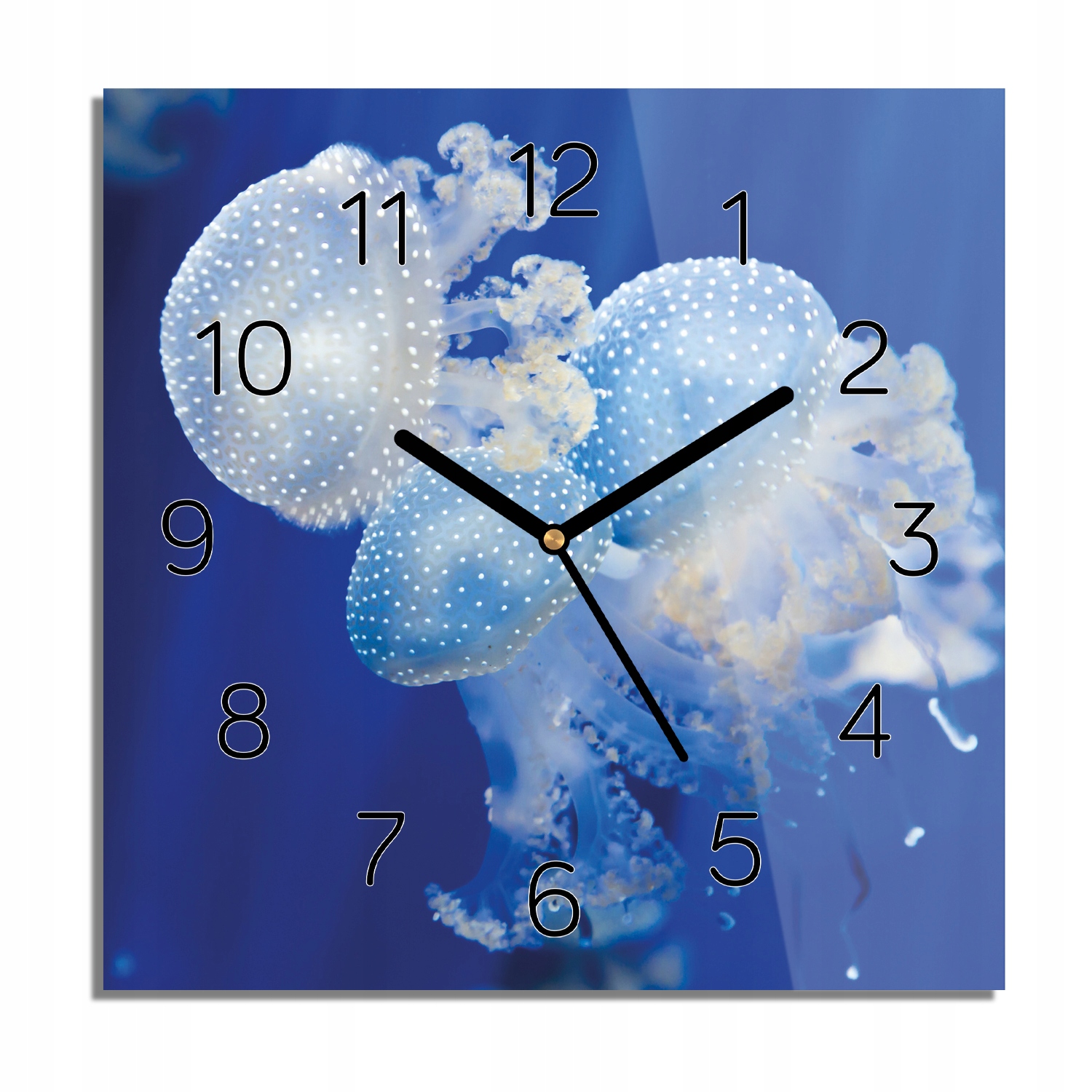 

Meduzy morze ocean foto-zegar do biura 30x30 cichy
