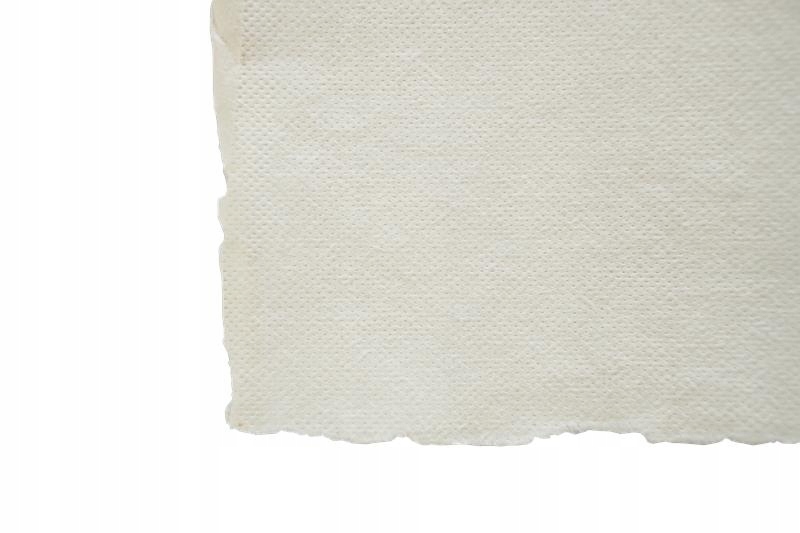 

Papier czerpany biały A3 gładki 200 g/m2 arkusz