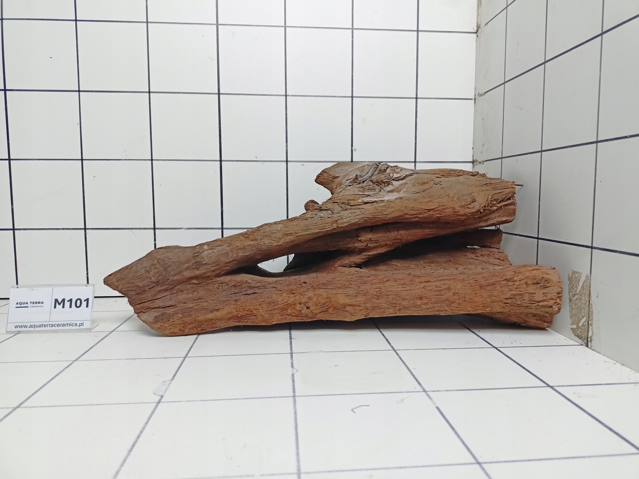 Korzeń Mangrowiec M101 (Kupujesz To Co Na Zdjęciu) Do Akwarium Terrarium