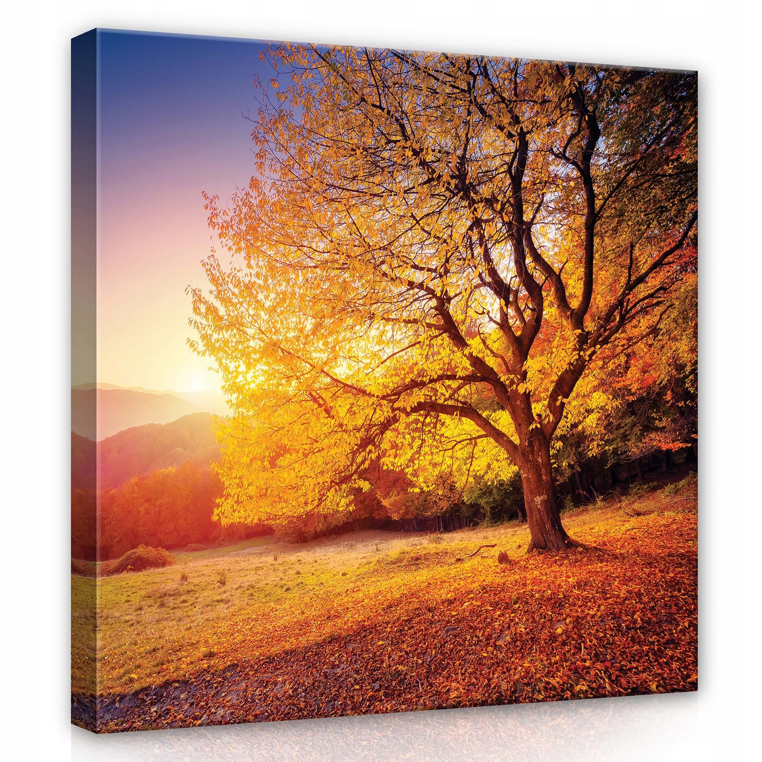 Obraz 80x80 Podzimní krajina západ slunce zlaté světlo osamělý strom