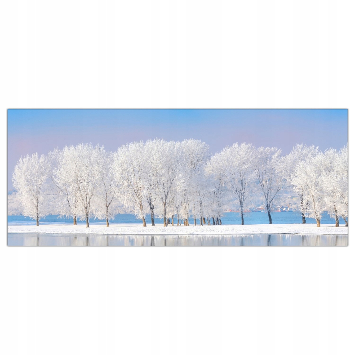 

Obraz Szklany Foto-obraz Zima Drzewa Mróz 125x50