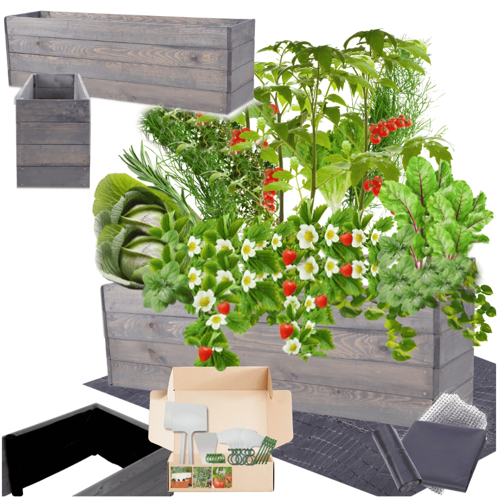 Vyvýšený záhon zeleninový záhon skriňa Inspekt kvetináč impregnát 36x120x30