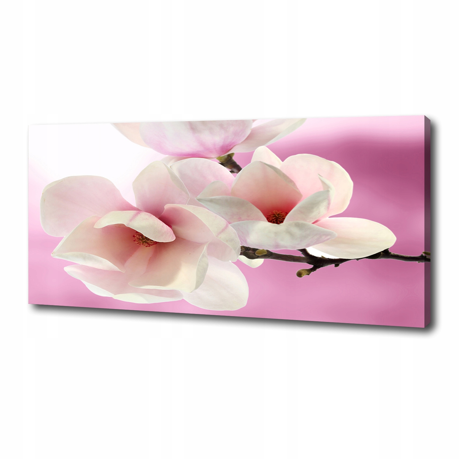 

Foto obraz canvas na ścianę Magnolia 125x50 cm