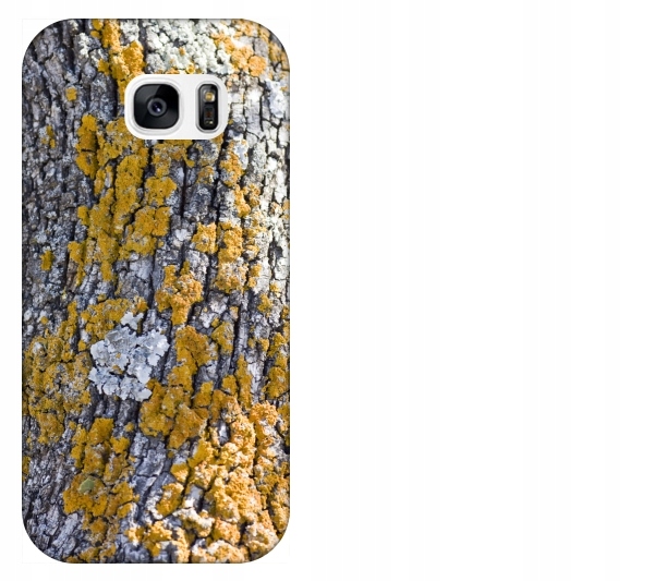 

Etui pokrowiec Samsung Galaxy S7 G930 Kora drzewa
