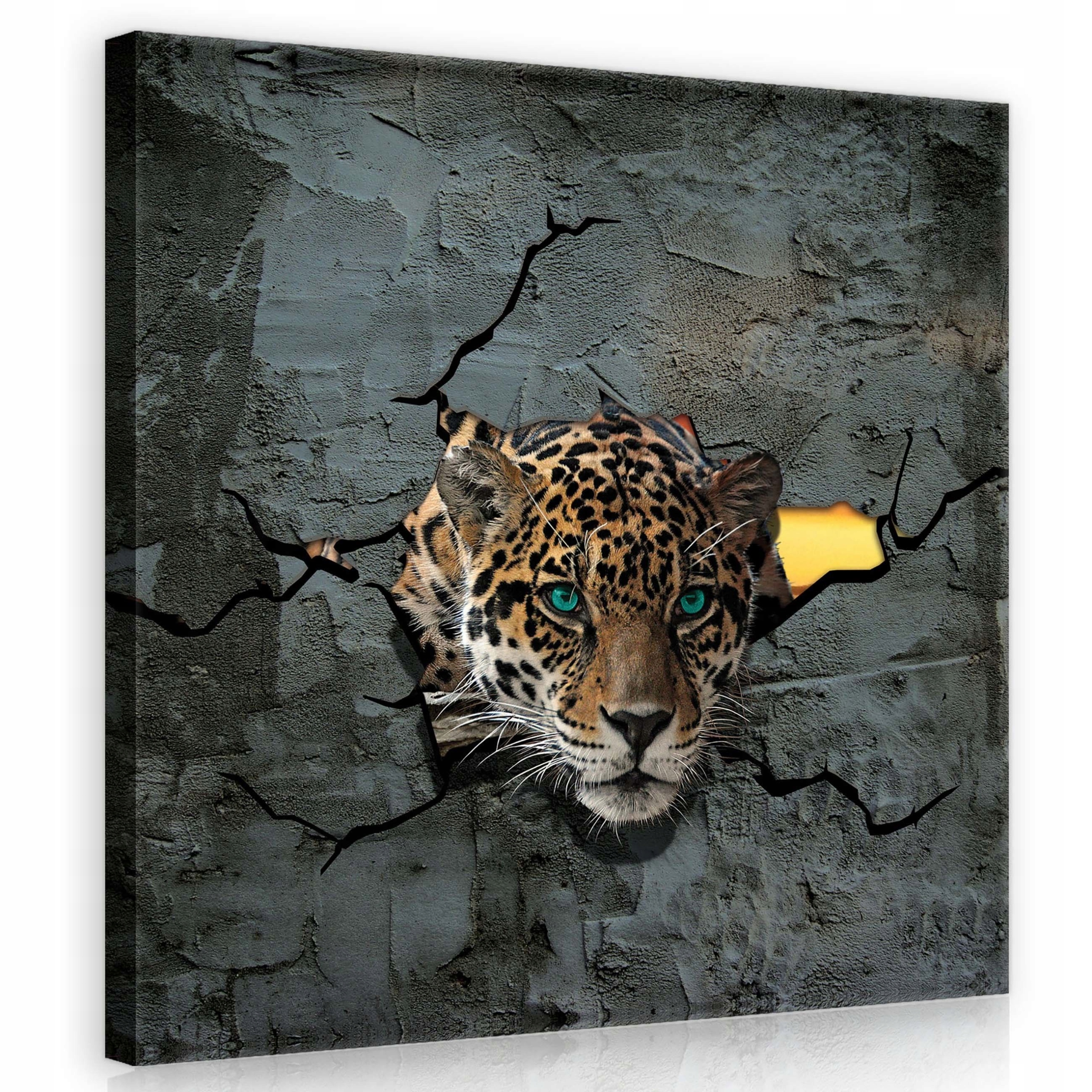 Obraz 80x80 Jaguar Pohled dravce zpoza šedé zdi Příroda Loft